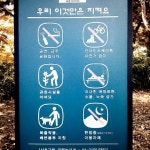 양재천근린공원 - 양재2동에서 공원일 양재천근린공원
