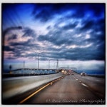 San Mateo-Hayward Bridge - 방문자 7558명의 팁 65개 San Mateo-Hayward Bridge