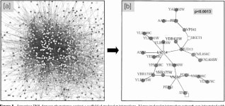 [PDF] Cytoscape: a software environment for integrated models of biomolecular interaction networks. | Semantic Scholar