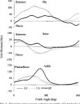 [PDF] Muscle coordination in cycling: effect of surface incline and posture. | Semantic Scholar