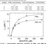 Ferredoxin:NADP+ Oxidoreductase Association with Phycocyanin Modulates Its Properties* | Semantic Scholar