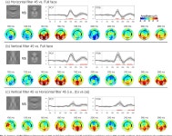 The role of horizontal facial structure on the N170 and N250 | Semantic Scholar