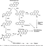 Gene-Environment Interaction | Semantic Scholar