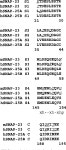 does not cleave SNAP-23 and only partially impairs insulin stimulation of GLUT4 translocation in 3T3-L1 cells. | Semantic Scholar