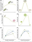[PDF] How to analyse plant phenotypic plasticity in response to a changing climate. | Semantic Scholar