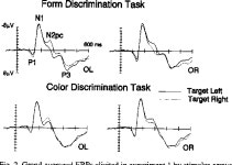 [PDF] The N2pc component as an indicator of attentional selectivity. | Semantic Scholar