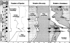 [PDF] The Paleocene-Eocene transition in the Antarctic Indian Ocean: Inference from planktic foraminifera | Semantic Scholar