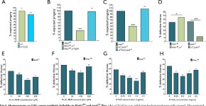 [PDF] A novel role for kynurenine 3-monooxygenase in mitochondrial dynamics | Semantic Scholar