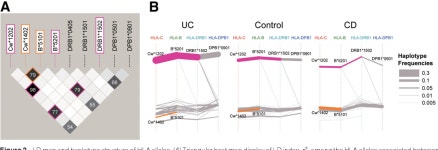 HLA-Cw*1202-B*5201-DRB1*1502 haplotype increases risk for ulcerative colitis but reduces risk for Crohns disease. | Semantic Scholar