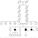 Branchio-Oto-Renal Syndrome | Semantic Scholar