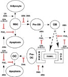 [PDF] OP-NUTR150035 1..14 | Semantic Scholar