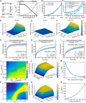 [PDF] Rapid diffusion-state switching underlies stable cytoplasmic gradients in the Caenorhabditis elegans zygote | Semantic Scholar