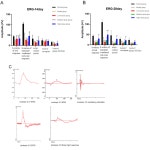 Exploring the protective effects of Qiju Granule in a rat model of dry age-related macular degeneration | Semantic Scholar