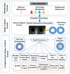 Evaluating State-of-the-Art Computerized Pupillary Assessments for Glaucoma Detection: A Systematic Review and Meta-Analysis... 