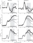 [PDF] Neural correlates of correct and errant attentional selection revealed through N2pc and frontal eye field activity.... 