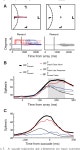 [PDF] Neural correlates of correct and errant attentional selection revealed through N2pc and frontal eye field activity.... 