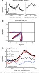 [PDF] Neural correlates of correct and errant attentional selection revealed through N2pc and frontal eye field activity.... 