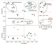 [PDF] The YNP Metagenome Project: Environmental Parameters Responsible for Microbial Distribution in the Yellowstone Geothermal... 