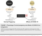 [PDF] Euglycemic Diabetic Ketoacidosis in a Pregnant Woman With Severe COVID-19: A Case Report | Semantic Scholar