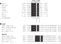 Mitochondrial myopathy induces a starvation-like response. | Semantic Scholar