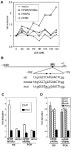 Regulation of a xenobiotic sulfonation cascade by nuclear pregnane X receptor (PXR) | Semantic Scholar