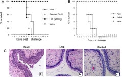 [PDF] FimH Adhesin of Type 1 Fimbriae Is a Potent Inducer of Innate Antimicrobial Responses Which Requires TLR4 and Type 1...