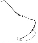 [PDF] Ergodic theory of chaos and strange attractors | Semantic Scholar
