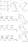 [PDF] Direct Interaction of Serotonin Type 3 Receptor Ligands with Recombinant and Native α9α10-Containing Nicotinic... 