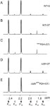 [PDF] Revisiting the Central Metabolism of the Bloodstream Forms of Trypanosoma brucei: Production of Acetate in the... 