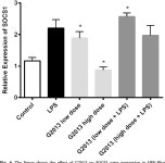 [PDF] Effects of guluronic acid (G2013) on SHIP1, SOCS1 induction and related molecules in TLR4 signaling pathway | Semantic Scholar