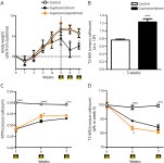 [PDF] Increased Remyelination and Proregenerative Microglia Under Siponimod Therapy in Mechanistic Models | Semantic Scholar