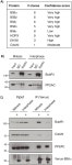 [PDF] Direct binding between BubR1 and B56–PP2A phosphatase complexes regulate mitotic progression | Semantic Scholar