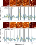 [PDF] Web of the giant: Spectroscopic confirmation of a large-scale structure around the z = 6.31 quasar SDSS J1030+0524... 