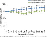 A Recombinant Vesicular Stomatitis Virus-Based Lassa Fever Vaccine Protects Guinea Pigs and Macaques against Challenge with... 