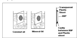 [PDF] Coconut oil as an alternative to transformer oil | Semantic Scholar