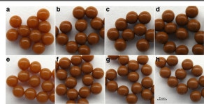 Hydrogel | Semantic Scholar