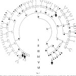 Chondrosarcoma in a family with multiple hereditary exostoses. | Semantic Scholar