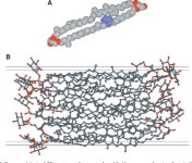 Crenarchaeol DOI 10.1194/jlr.M200148-JLR200 | Semantic Scholar