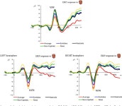 [PDF] The face-sensitive N170 and VPP components manifest the same brain processes: The effect of reference electrode site... 