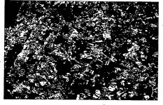 Table 2-1 from Experimental study of digital image processing techniques for LANDSAT data | Semantic Scholar
