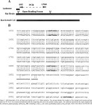 14-3-3 Family | Semantic Scholar