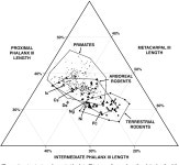 [PDF] Intrinsic hand proportions of euarchontans and other mammals: implications for the locomotor behavior of plesiadapiforms.... 
