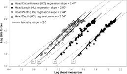 Bite-Force Generation and Feeding Biomechanics in the Loggerhead Musk Turtle, Sternotherus Minor: Implications for the Ontogeny... 