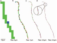 [PDF] Transmitted light brightfield mosaic microscopy for three-dimensional tracing of single neuron morphology. | Semantic Scholar