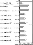[PDF] unc-44 Ankyrin and stn-2 γ-Syntrophin Regulate sax-7 L1CAM Function in Maintaining Neuronal Positioning in Caenorhabditis... 