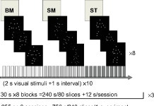 not superior temporal sulcus during the perception of biological motion in schizophrenia: a functional MRI study | Semantic Scholar