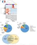 [PDF] High-Throughput Analysis of the Flagella FliK-Dependent Surfaceome and Secretome in Bacillus thuringiensis | Semantic Scholar