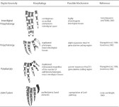 [PDF] The trouble with flippers: a report on the prevalence of digital anomalies in Cetacea | Semantic Scholar