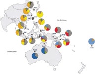 [PDF] Independent histories of human Y chromosomes from Melanesia and Australia. | Semantic Scholar