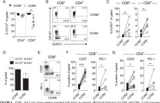 [PDF] CCR8 Expression Defines Tissue-Resident Memory T Cells in Human Skin | Semantic Scholar